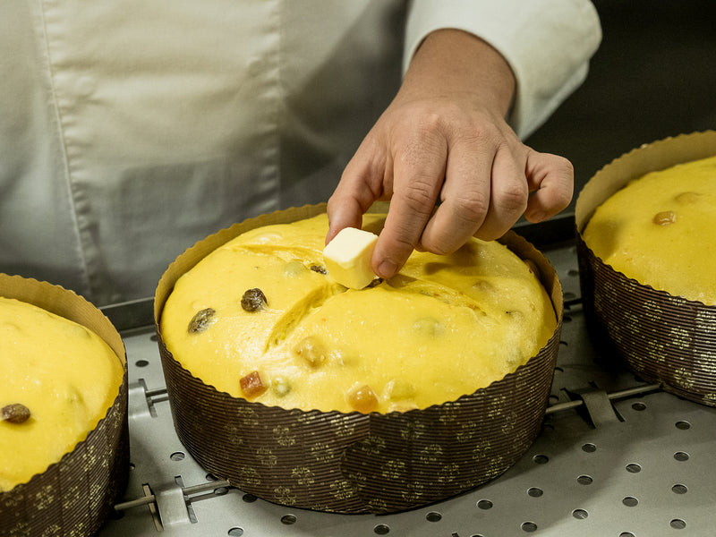 Panettone Classico (1KG)